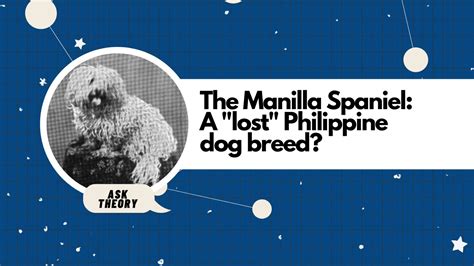 Ask Theory Podcast Ep. 114: The Manilla Spaniel: A .